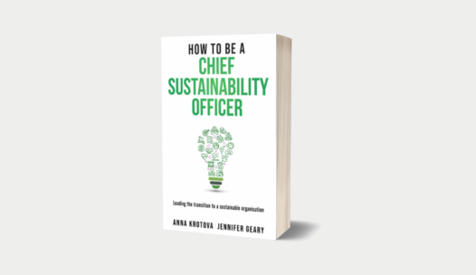 How to be a Chief Sustainability Officer