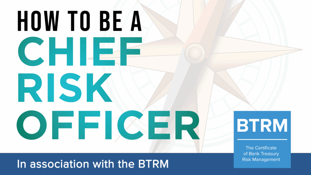 How to be a Chief Risk Officer BTRM